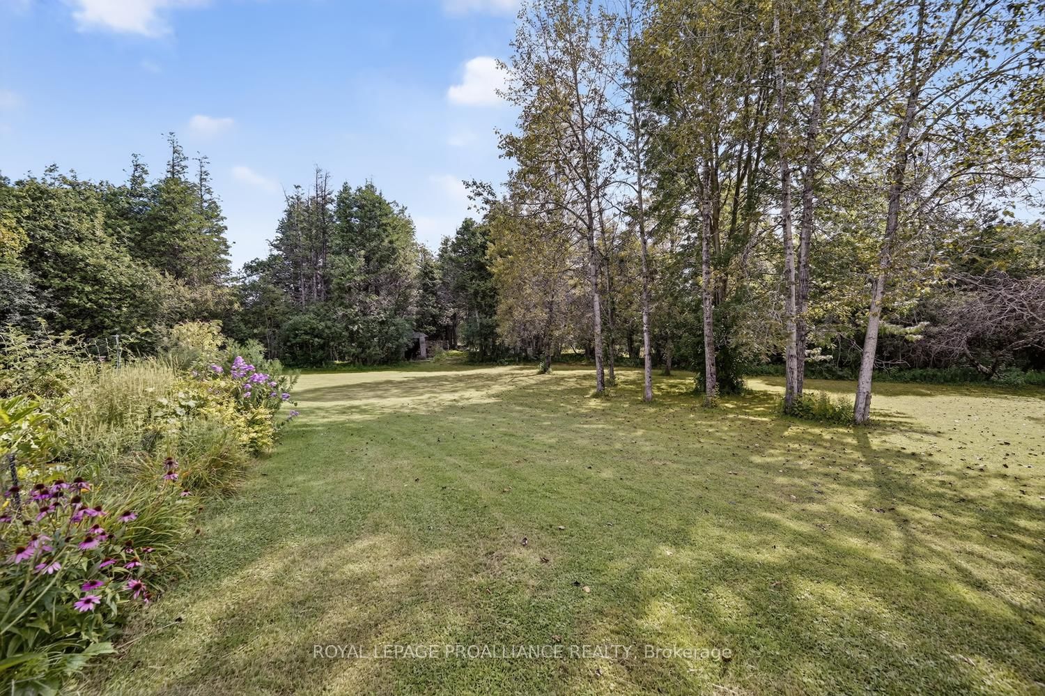 10250 County Road 15 Road • Augusta, ON photo 32