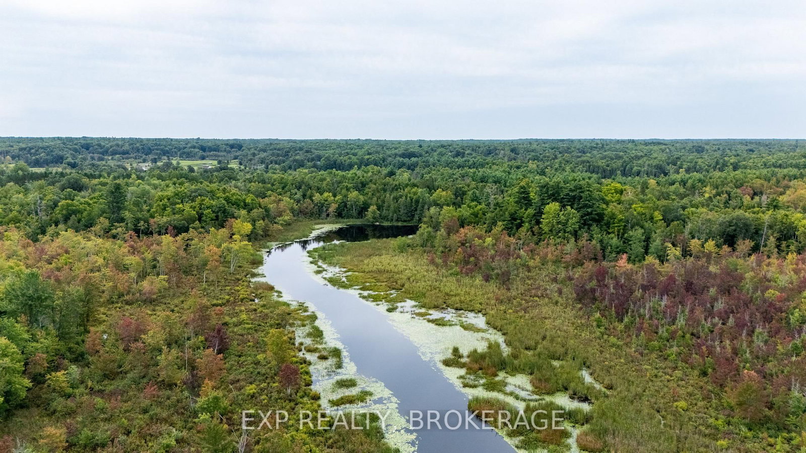 279 Munro Road • Maberly, ON photo 36