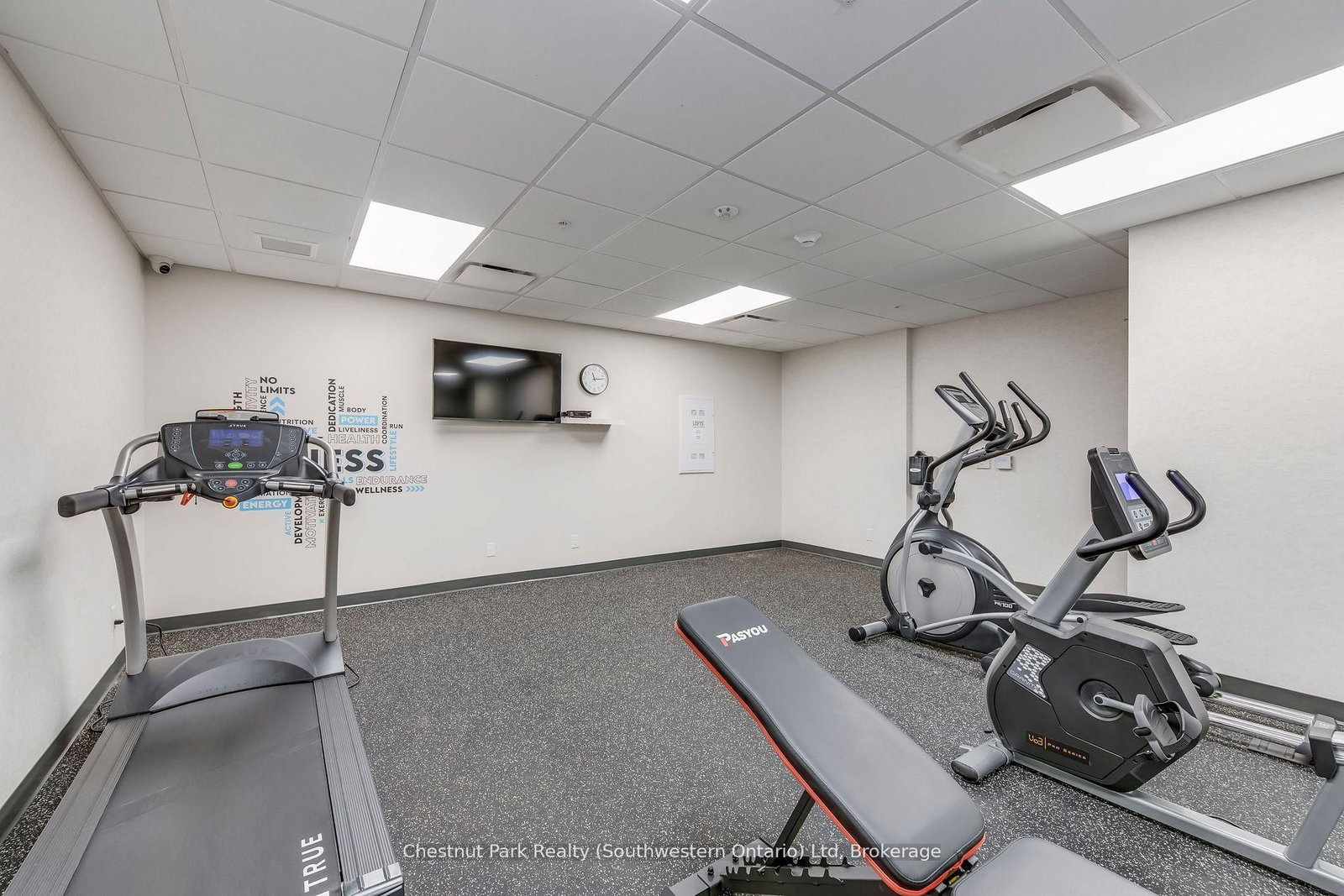 206-2 Quebec St, Guelph, view 14