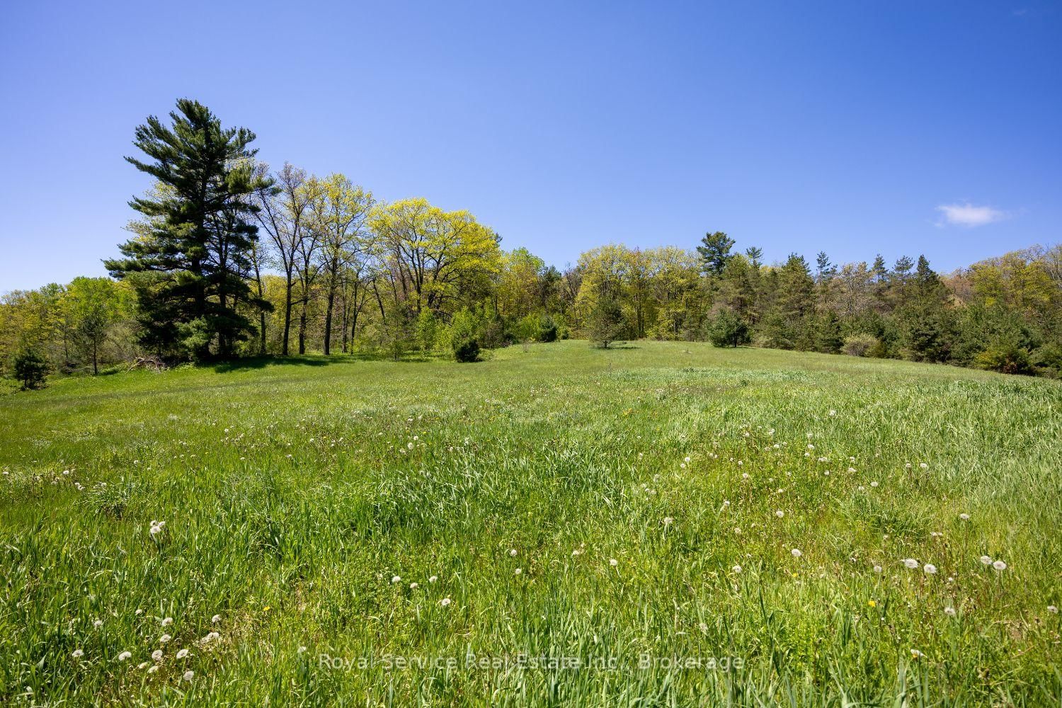 168 Elder Road • Alnwick/Haldimand, ON photo 33