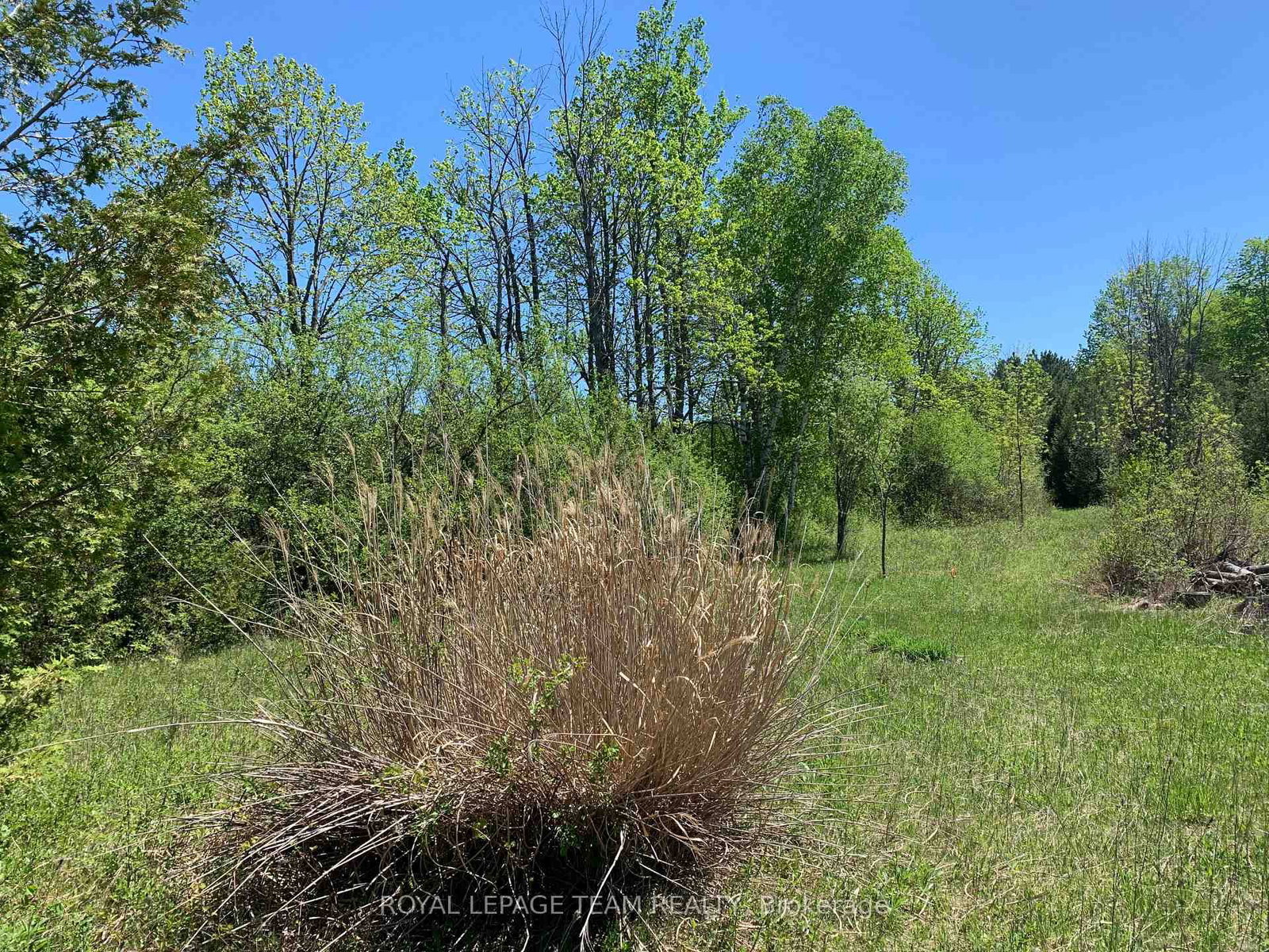 00 Bolton Road • Merrickville-Wolford, ON photo 10