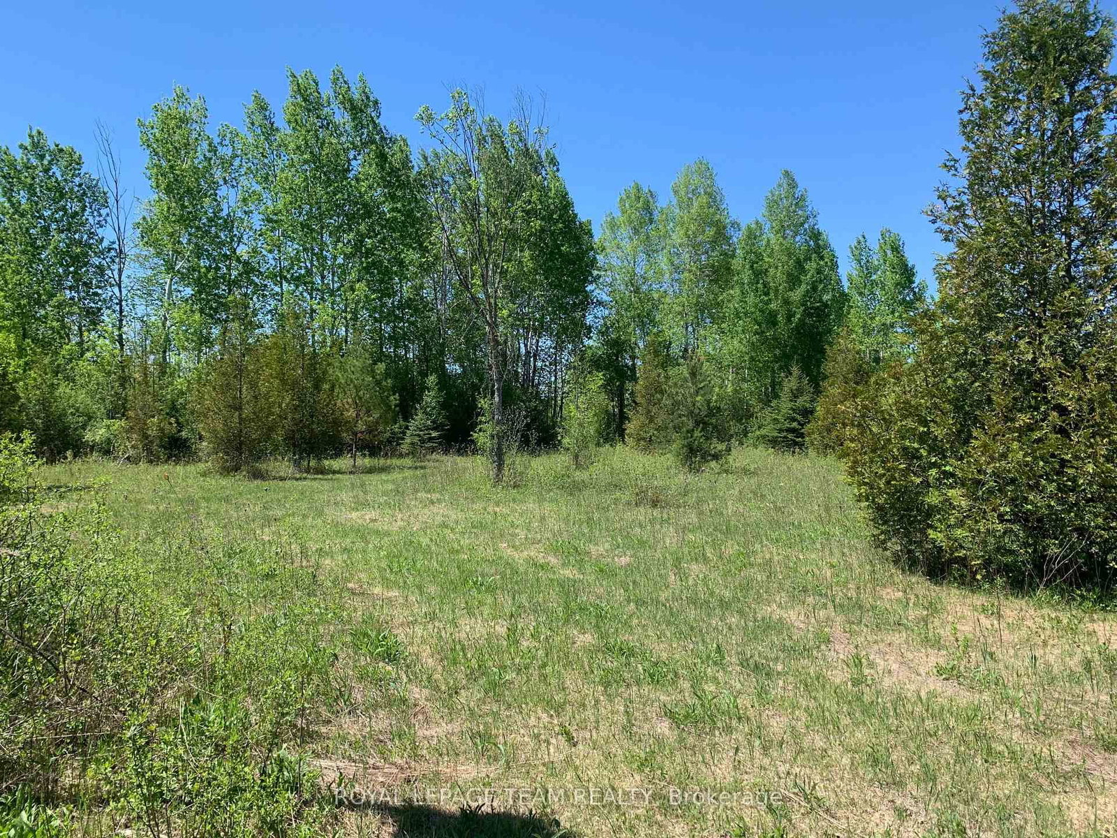00 Bolton Road • Merrickville-Wolford, ON photo 11