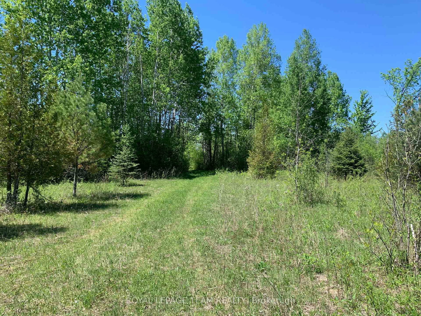 00 Bolton Road • Merrickville-Wolford, ON photo 12