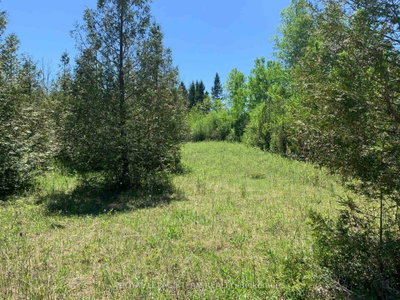 00 Bolton Road • Merrickville-Wolford, ON photo 8
