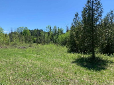 00 Bolton Road • Merrickville-Wolford, ON photo 9