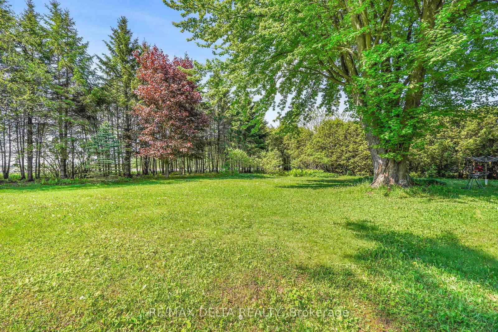 3558 Principale Street • Alfred and Plantagenet, ON photo 6