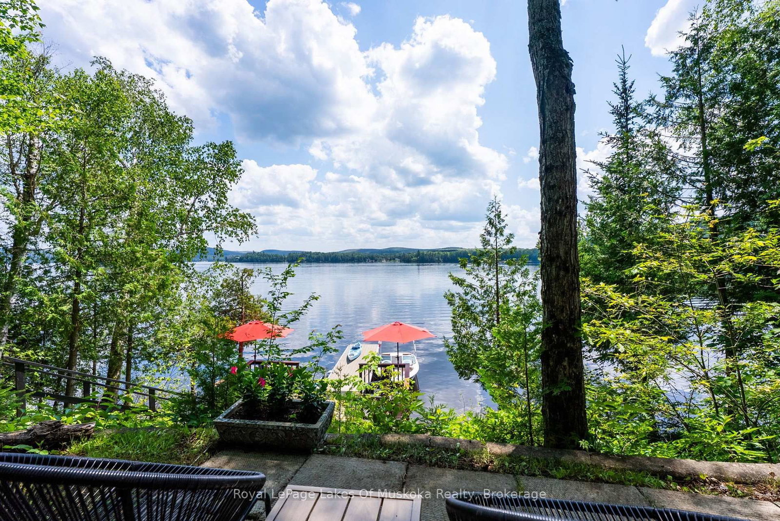 73 Fog Fire Point Lane • Kearney, ON photo 10