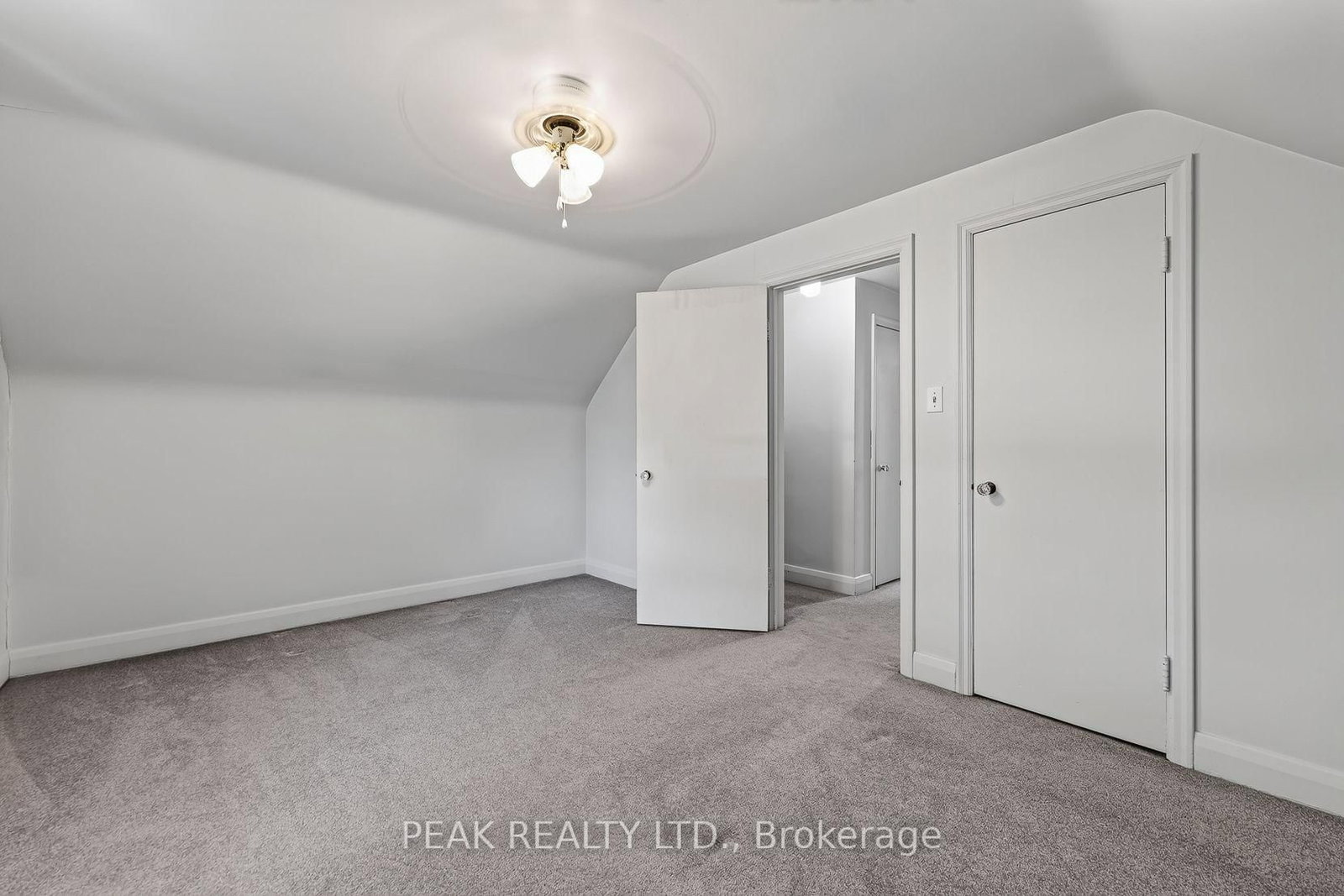 78 Belleview Avenue • Kitchener, ON photo 22