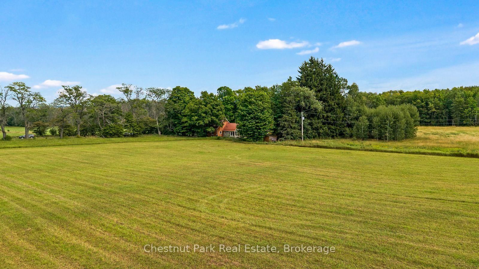 316238 3rd Line C • Grey Highlands, ON photo 40