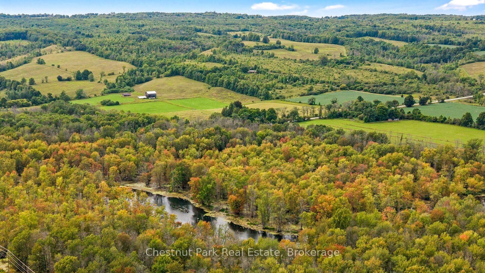 316238 3rd Line C • Grey Highlands, ON photo 50
