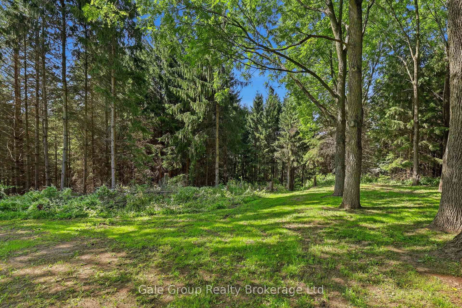 235042 23rd Line • Zorra, ON photo 39