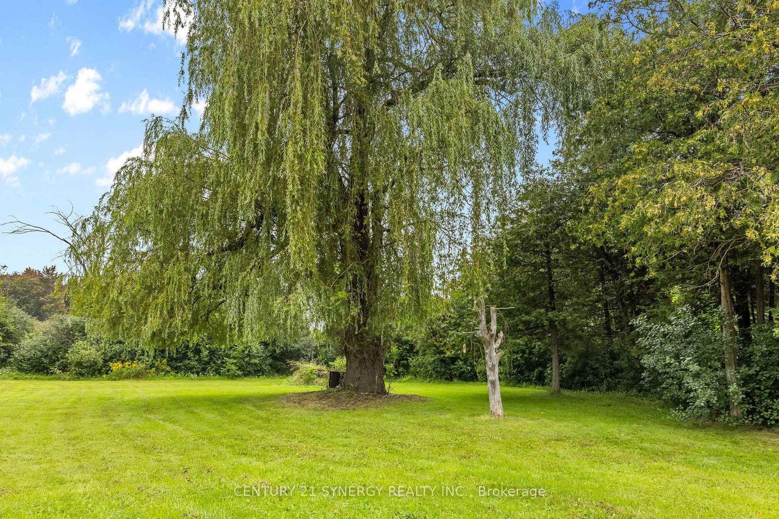 8567 Franktown Road • Ashton, ON photo 42