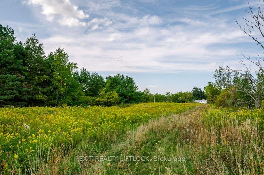 194 County Rd 10 • Cavan Monaghan, ON photo 41
