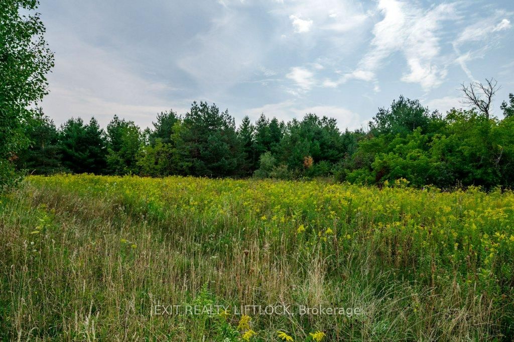194 County Rd 10 • Cavan Monaghan, ON photo 42