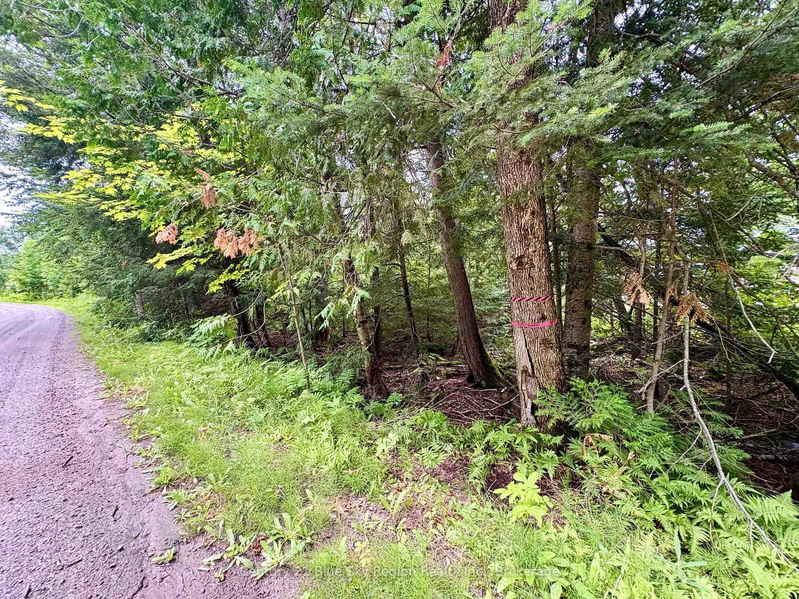 PCL BLOCK C-1 Tomiko Road • West Nipissing, ON photo 12