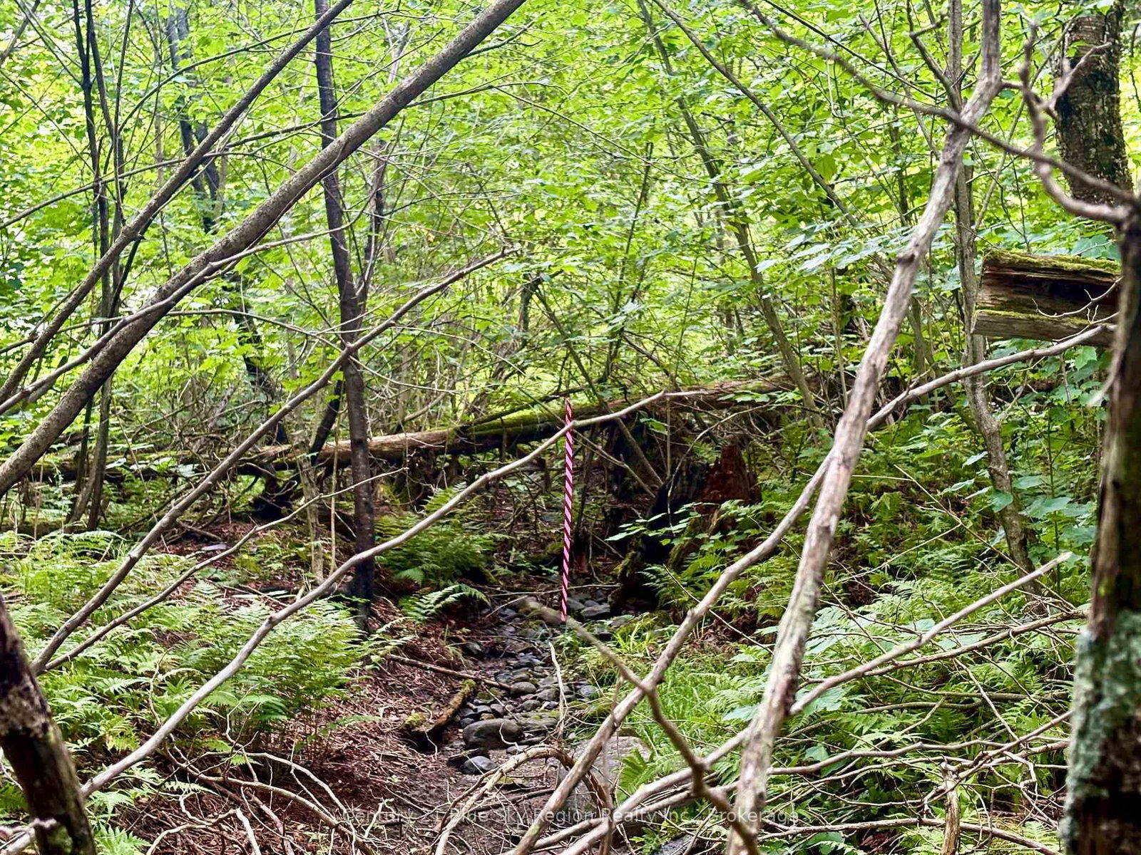 PCL BLOCK C-1 Tomiko Road • West Nipissing, ON photo 14