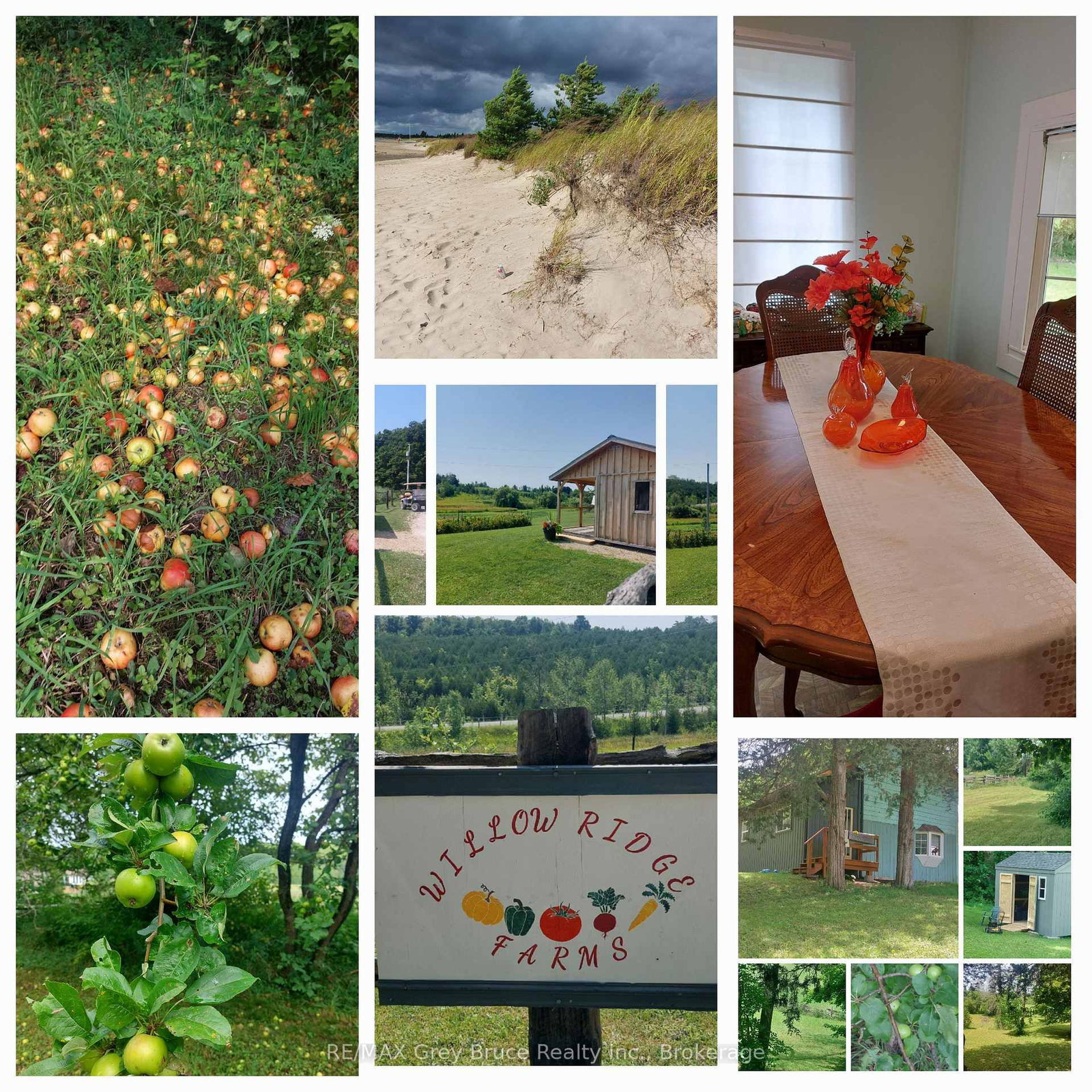 130 Crooked Hill Road • South Bruce Peninsula, ON photo 48