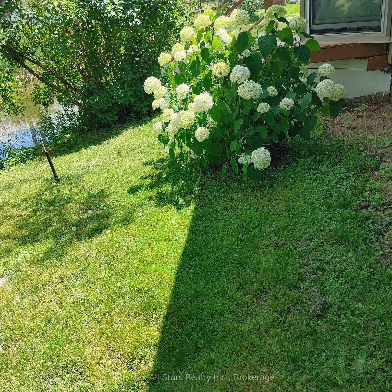 42 Otter Line • Kawartha Lakes, ON photo 38