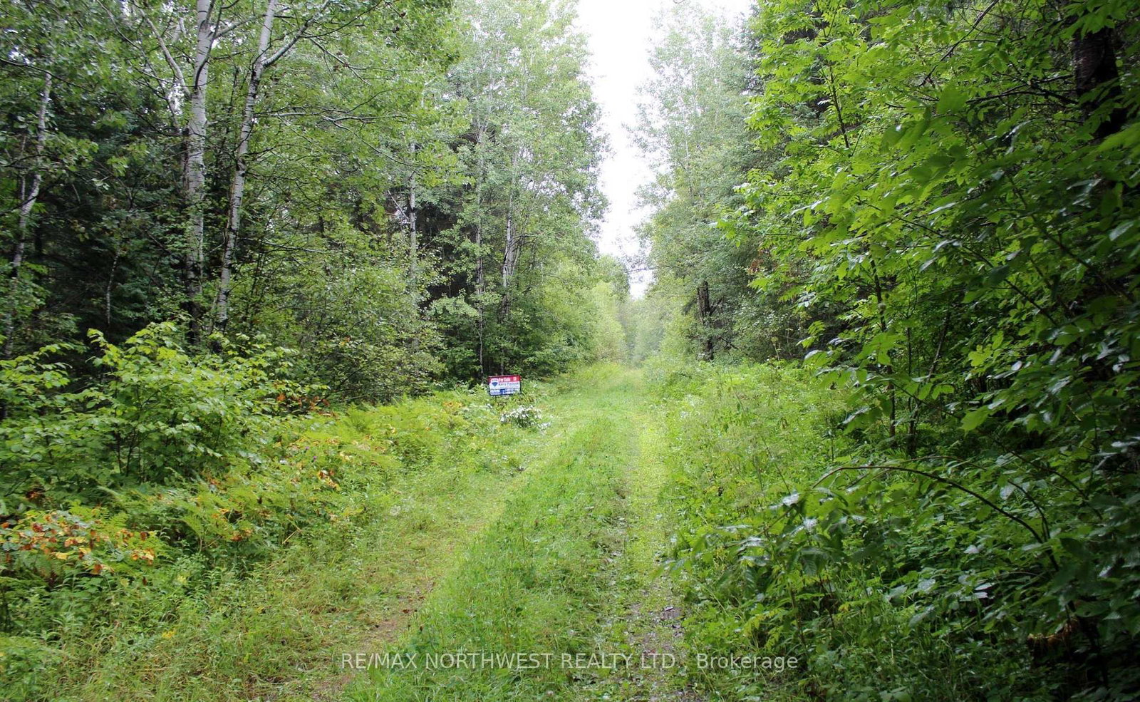 402 ANDREWS RD • Morley, ON photo 43