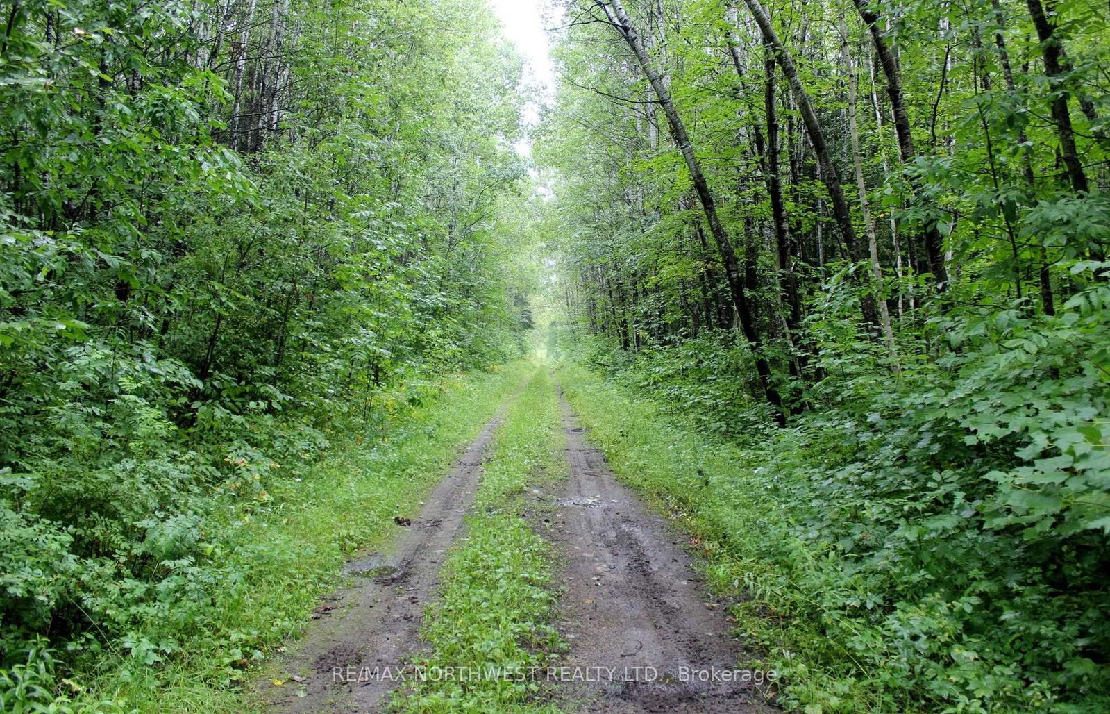 402 ANDREWS RD • Morley, ON photo 45