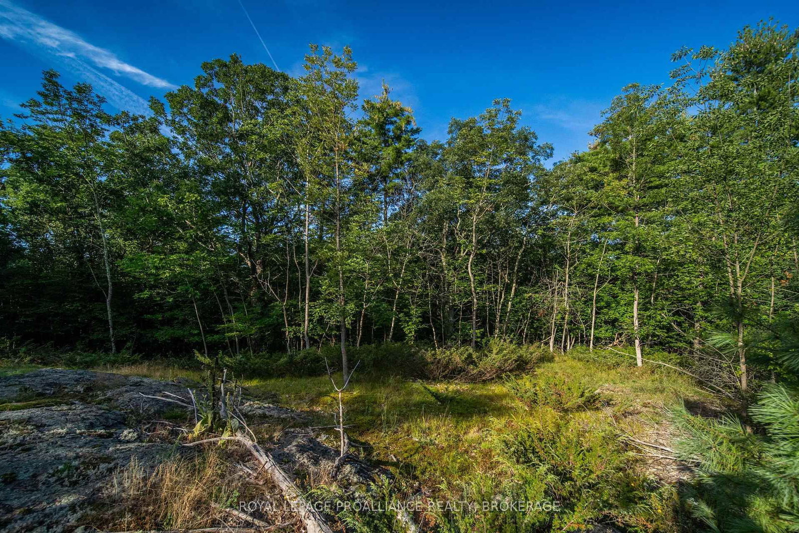 Con 11, Lot 6 Hinchinbrooke Road • Hartington, ON photo 23