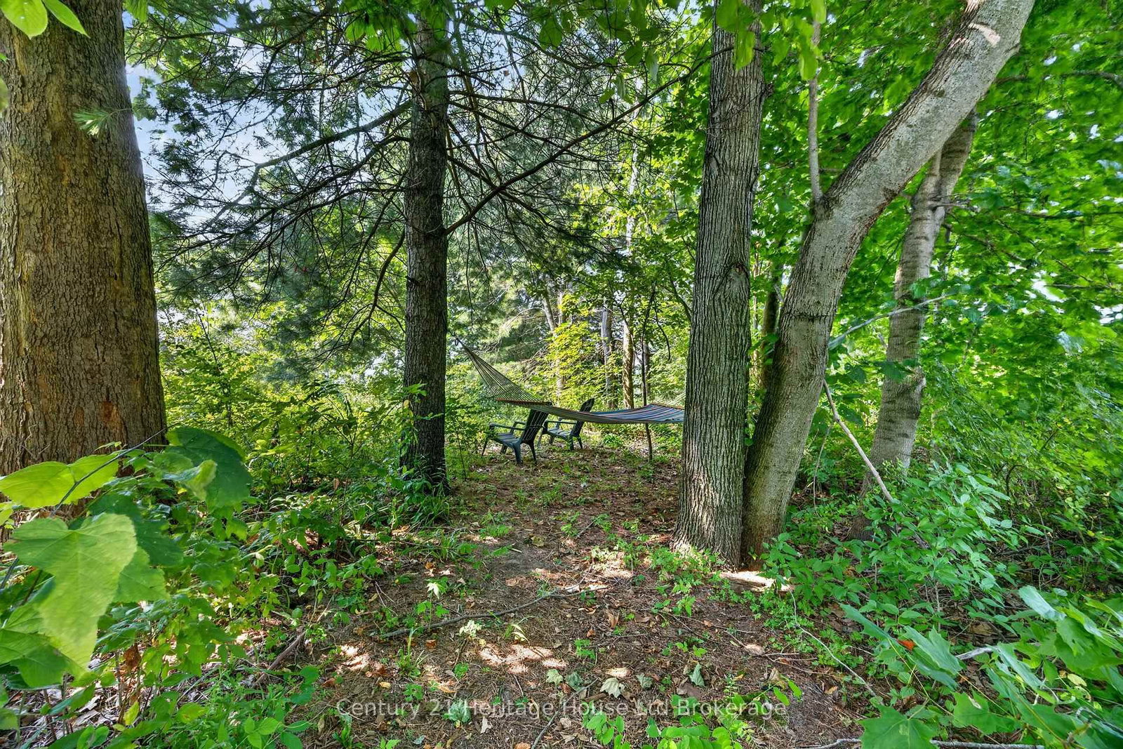 55728 Maple Grove Line • Bayham, ON photo 12