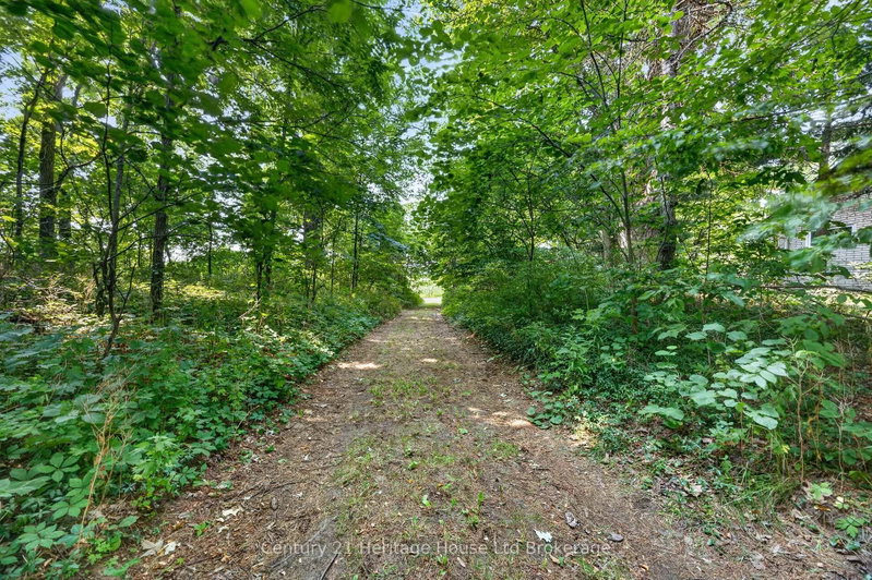 55728 Maple Grove Line