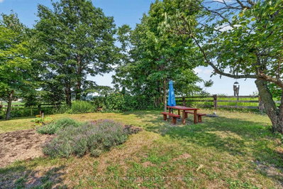 55728 Maple Grove Line • Bayham, ON photo 9