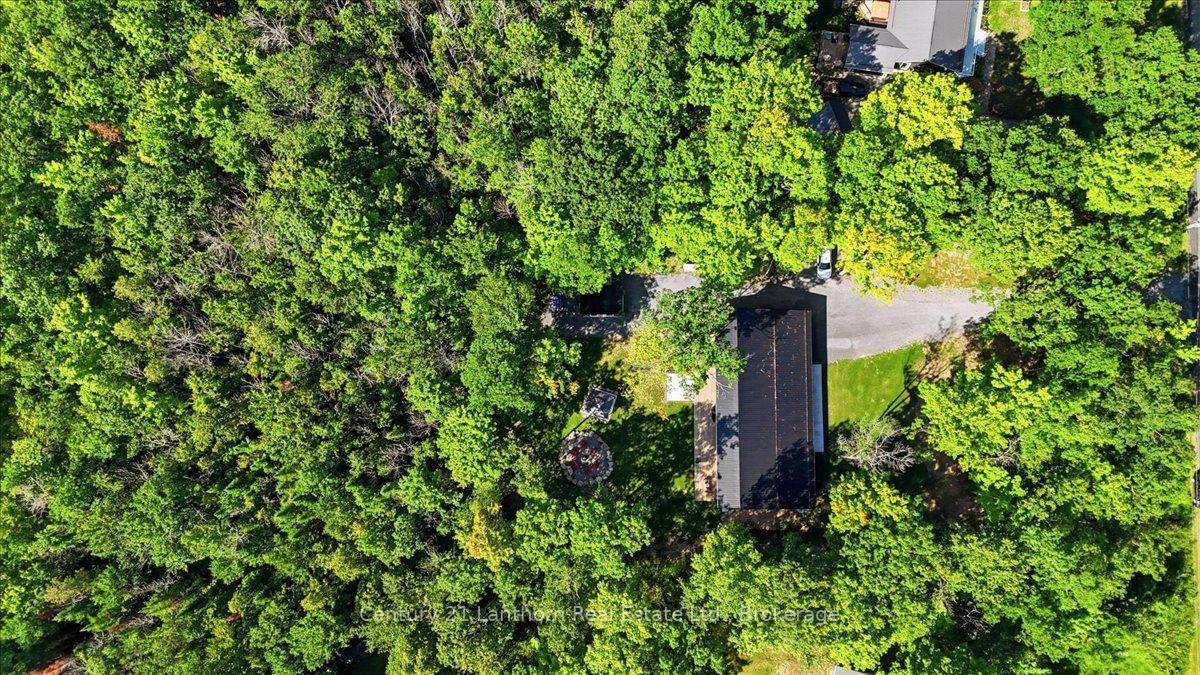 393 Wood Road • Madoc, ON photo 49