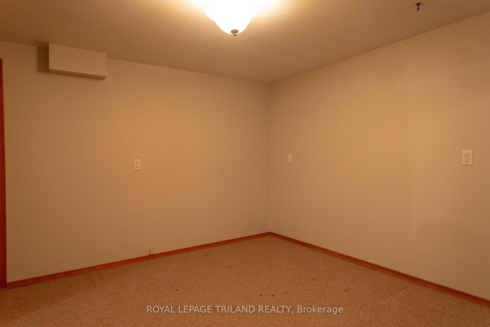 8 Croatia Court • St. Thomas, ON photo 34