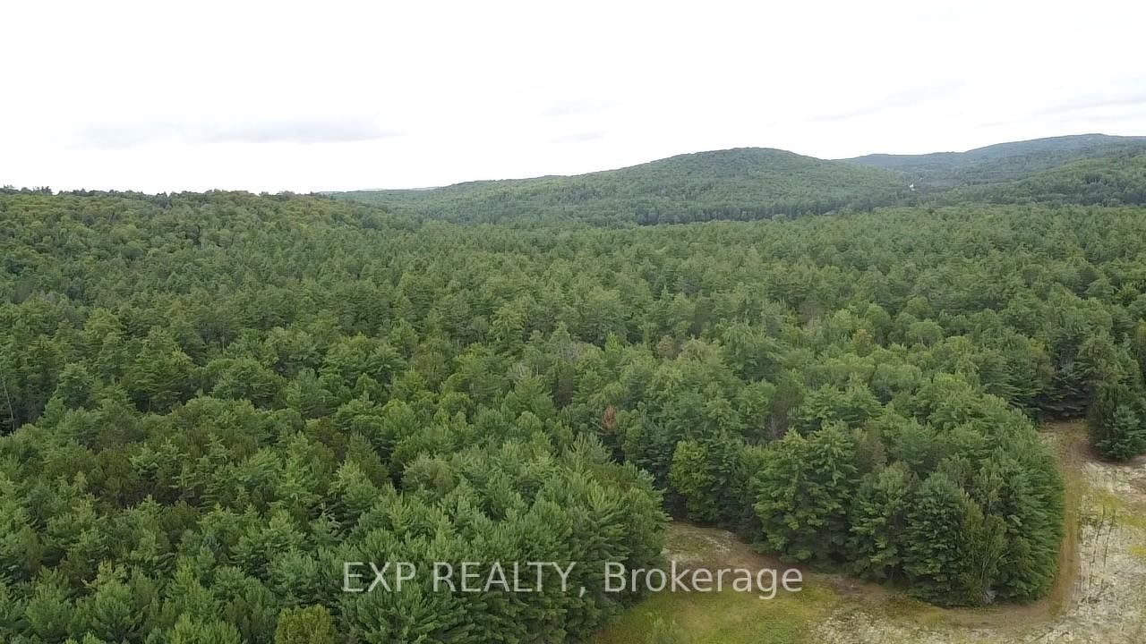 6311 Palmer Road • Palmer Rapids, ON photo 23