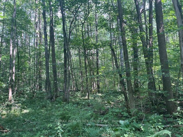 PT LT44 Chatsworth 24 Road • Chatsworth, ON photo 11