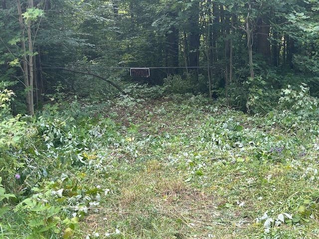 PT LT44 Chatsworth 24 Road • Chatsworth, ON photo 14