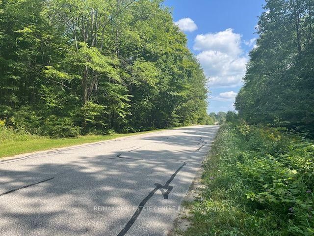 PT LT44 Chatsworth 24 Road • Chatsworth, ON photo 4