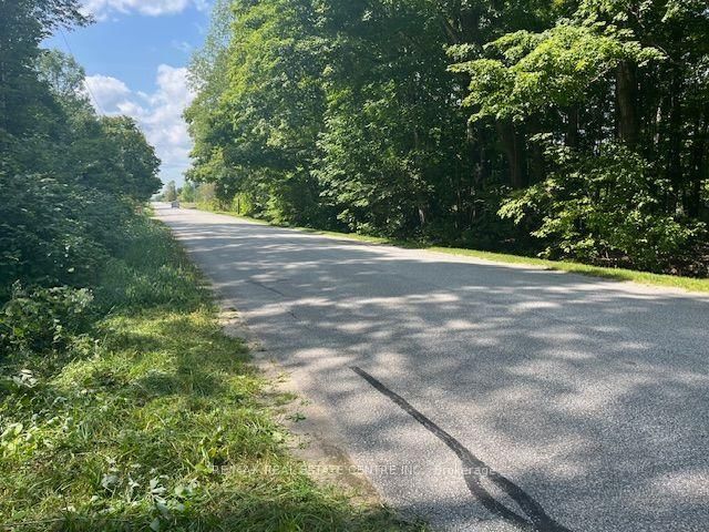 PT LT44 Chatsworth 24 Road • Chatsworth, ON photo 5