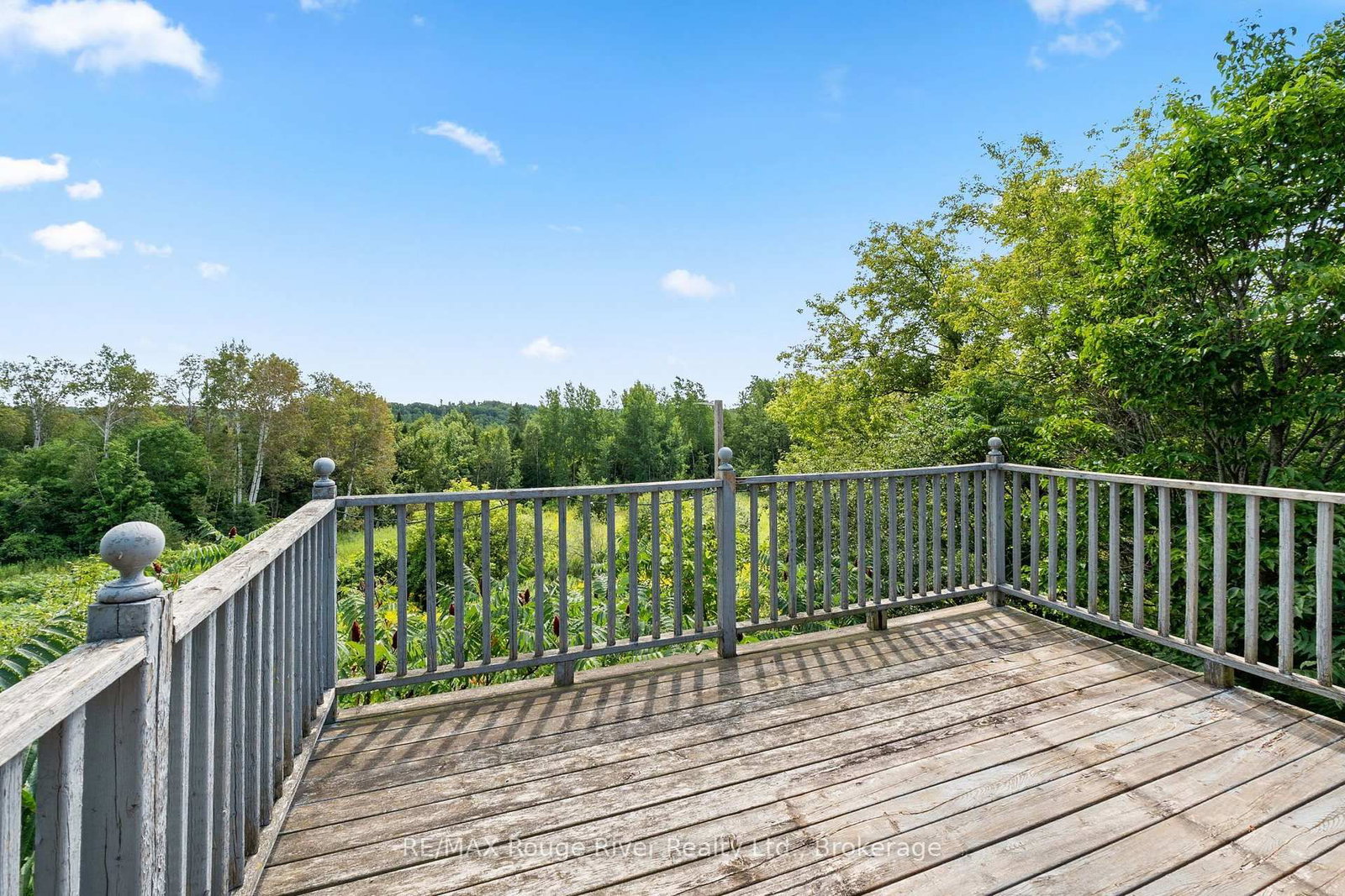 389 Haynes Road • Cramahe, ON photo 24