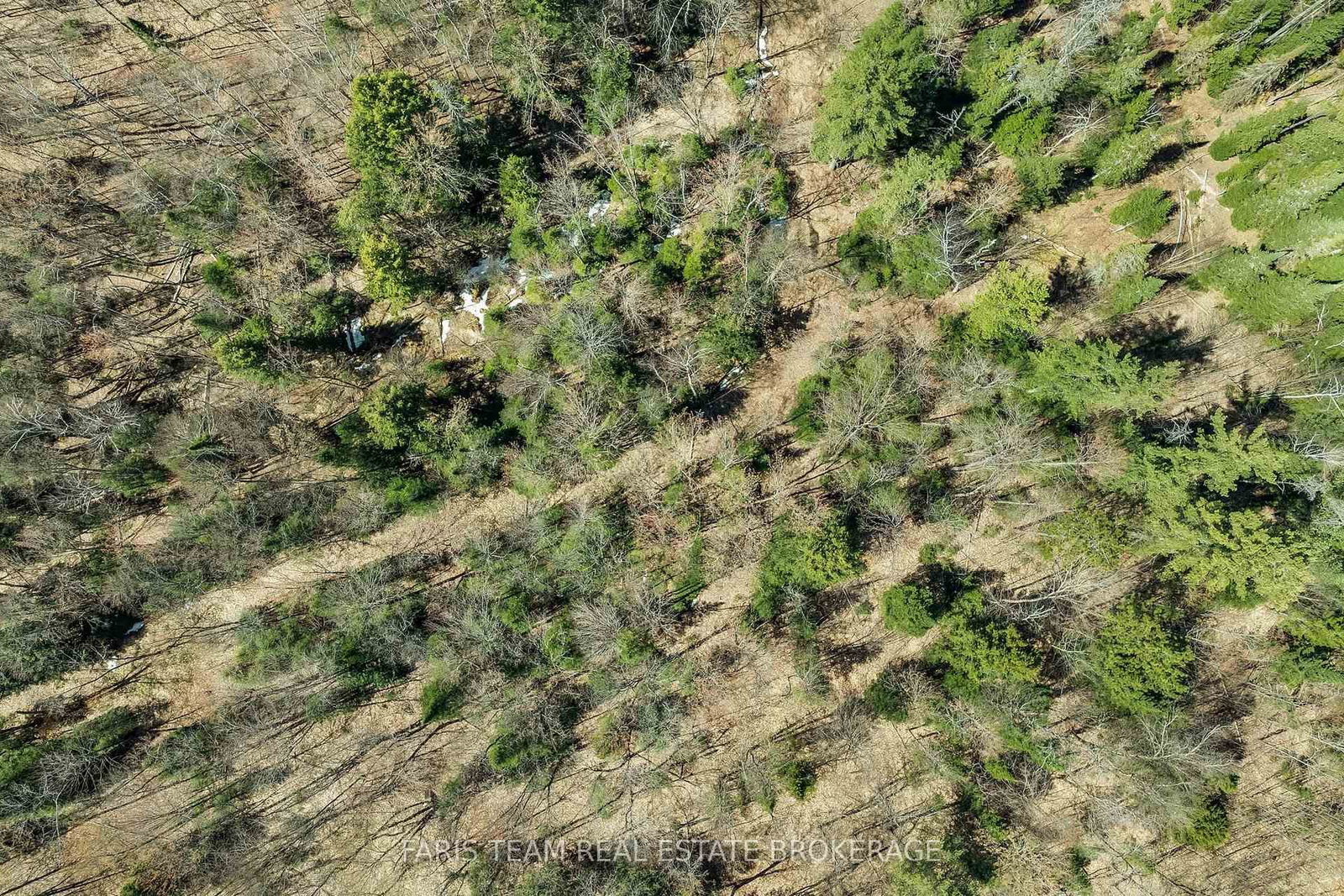 2180-2186 Highway 141 • Muskoka Lakes, ON photo 19