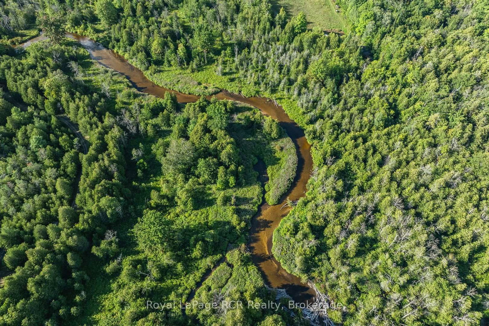 441702 Concession 8 Ndr • West Grey, ON photo 47