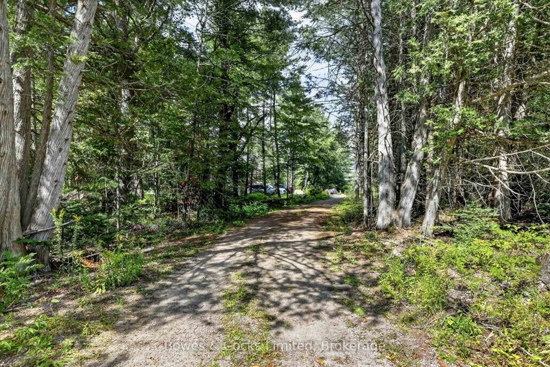 1244 Vick Road