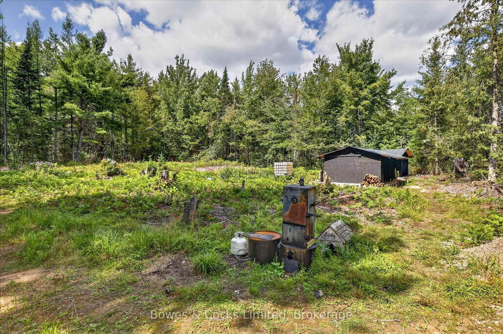 1244 Vick Road • Minden Hills, ON photo 42
