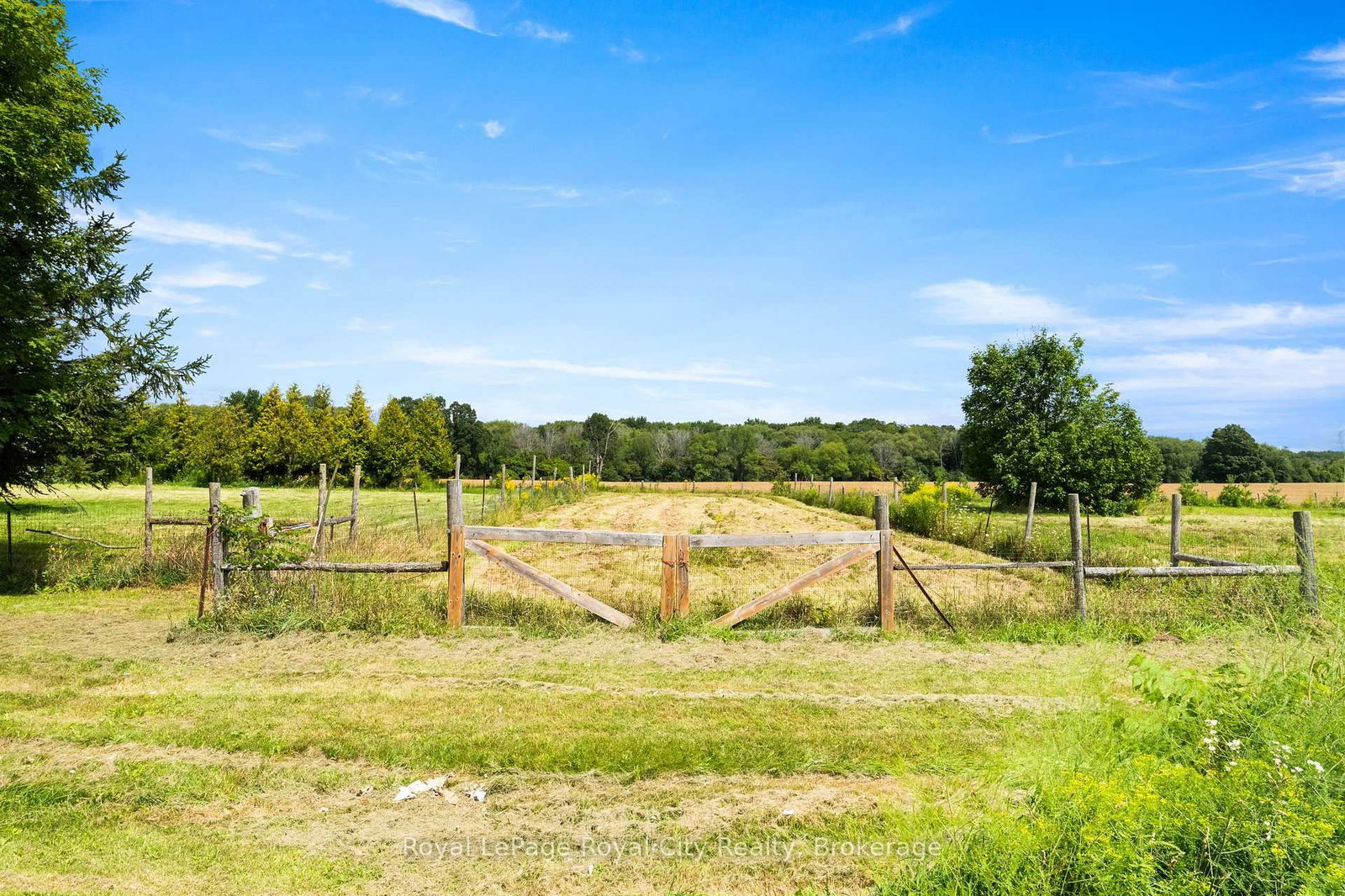 5837 Wellington Road 7 • Guelph/Eramosa, ON photo 36