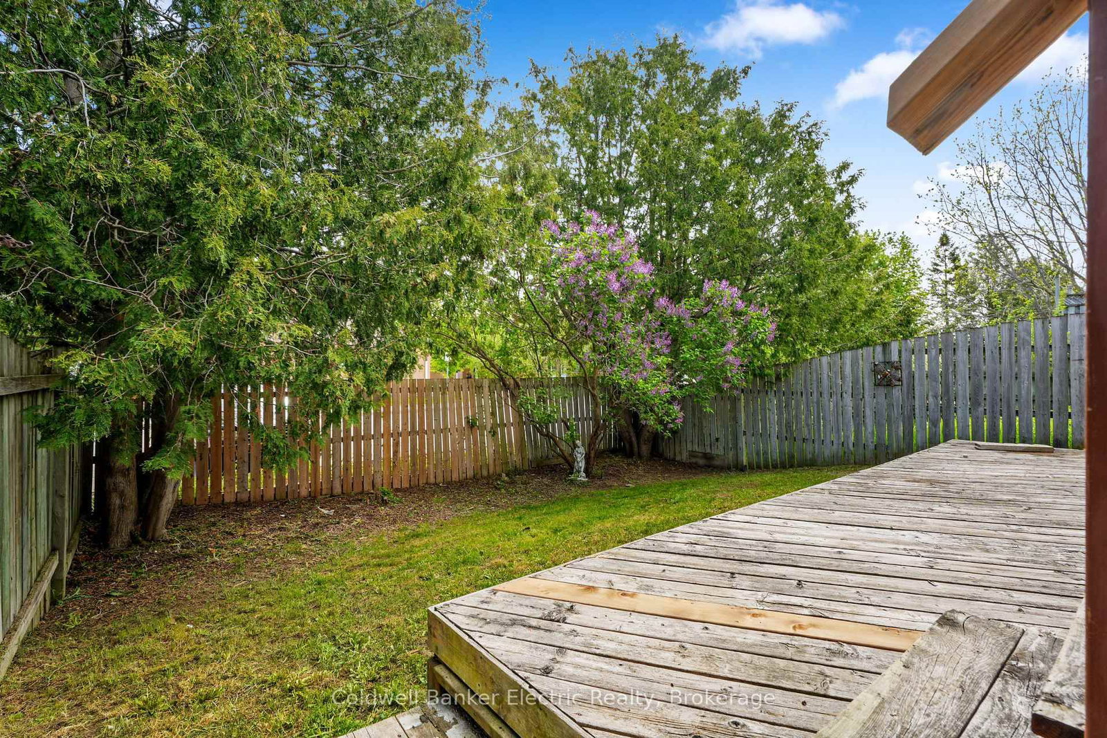 802 Mountain Ash Road • Peterborough, ON photo 21