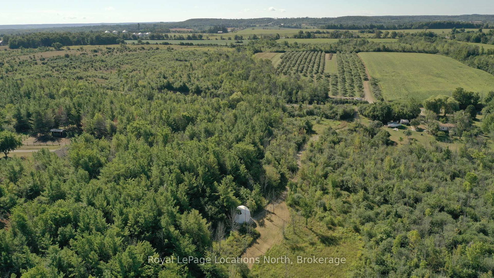 86177 7 Side Road • Meaford, ON photo 11
