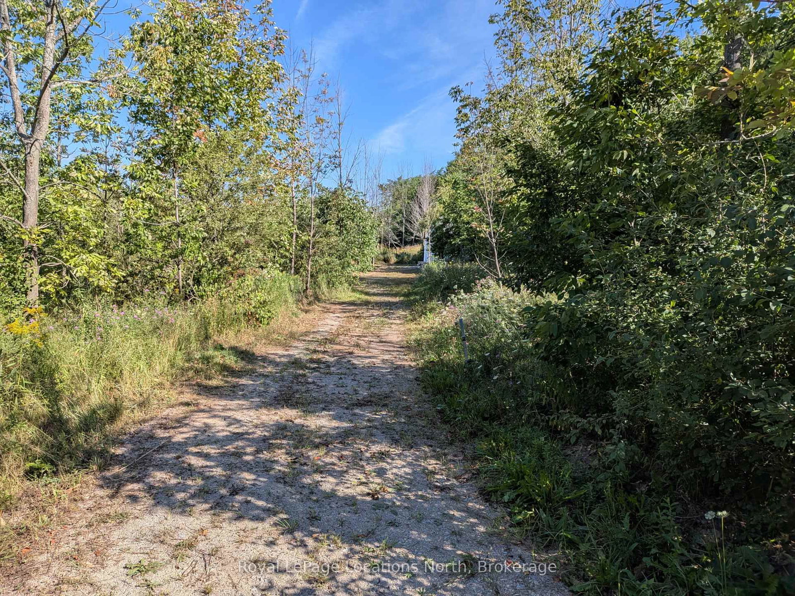 86177 7 Side Road • Meaford, ON photo 14