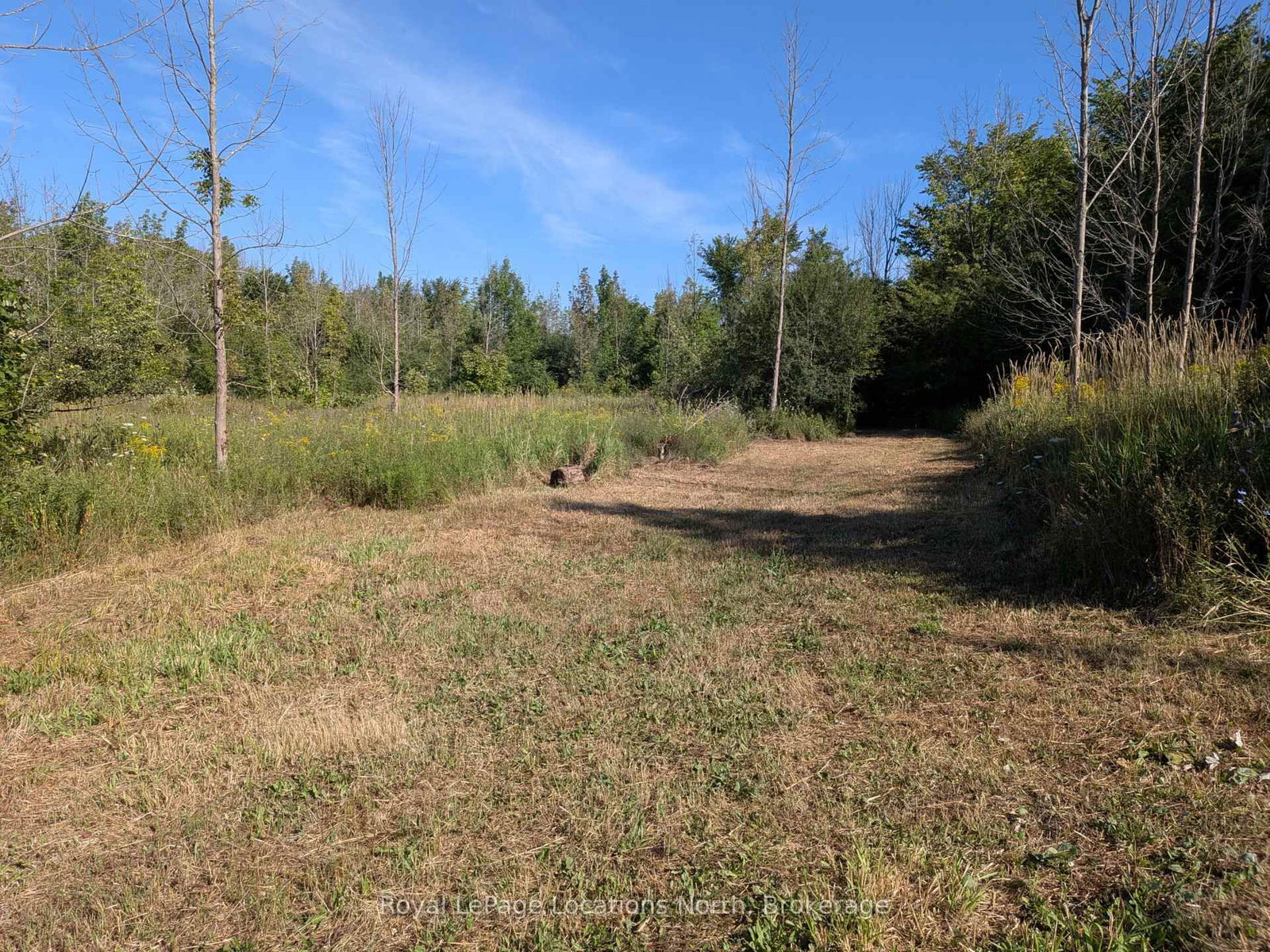 86177 7 Side Road • Meaford, ON photo 15