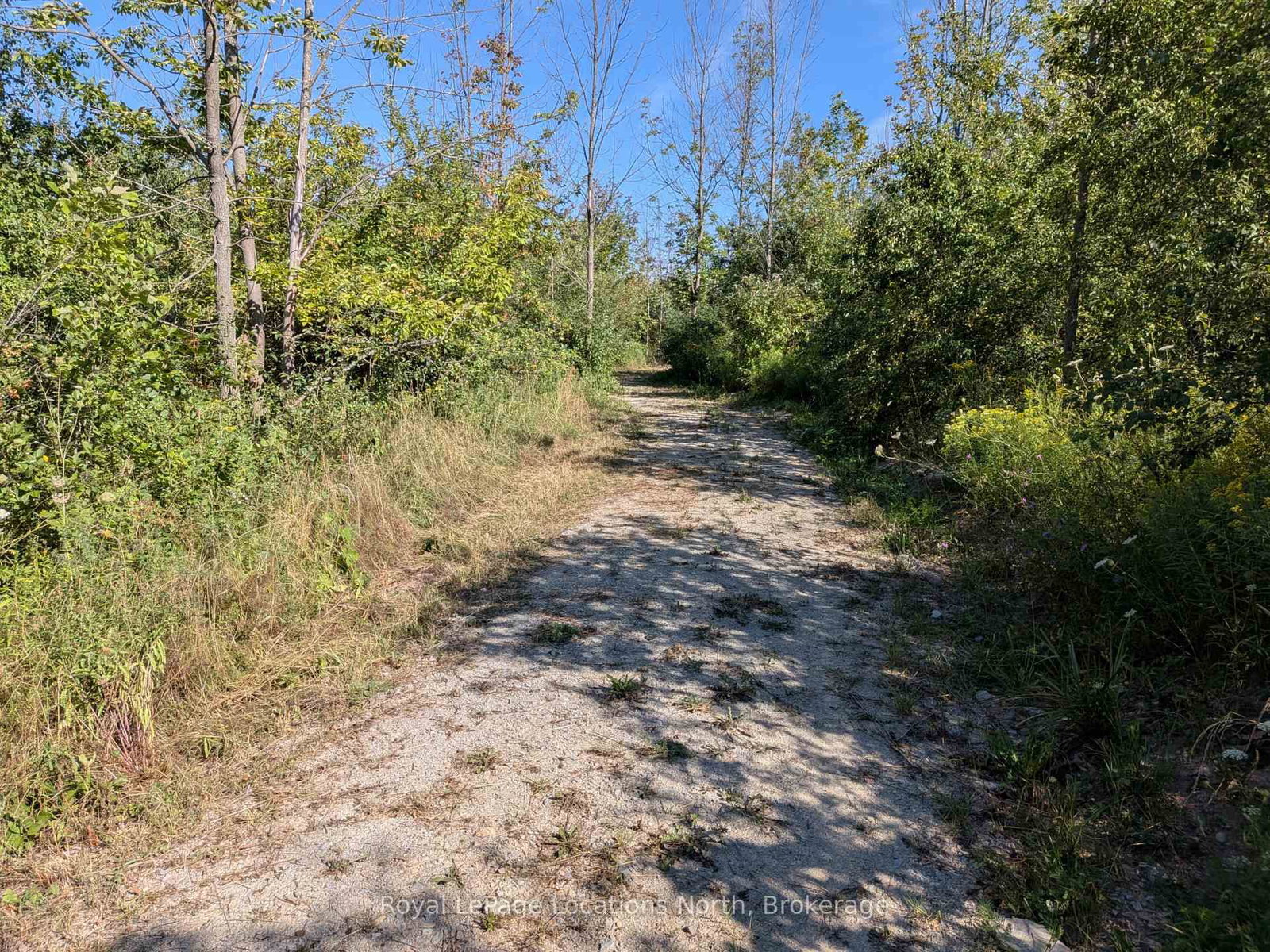 86177 7 Side Road • Meaford, ON photo 17
