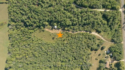 86177 7 Side Road • Meaford, ON photo 5