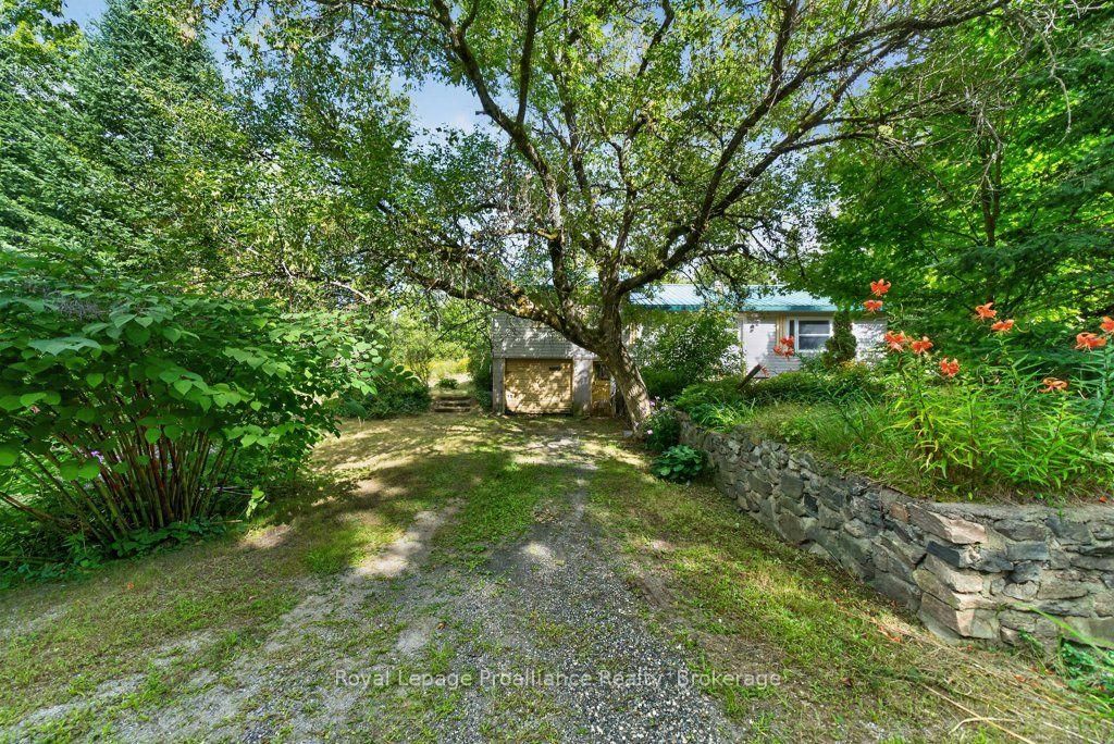 2452 Henderson Road • Barry's Bay, ON photo 36