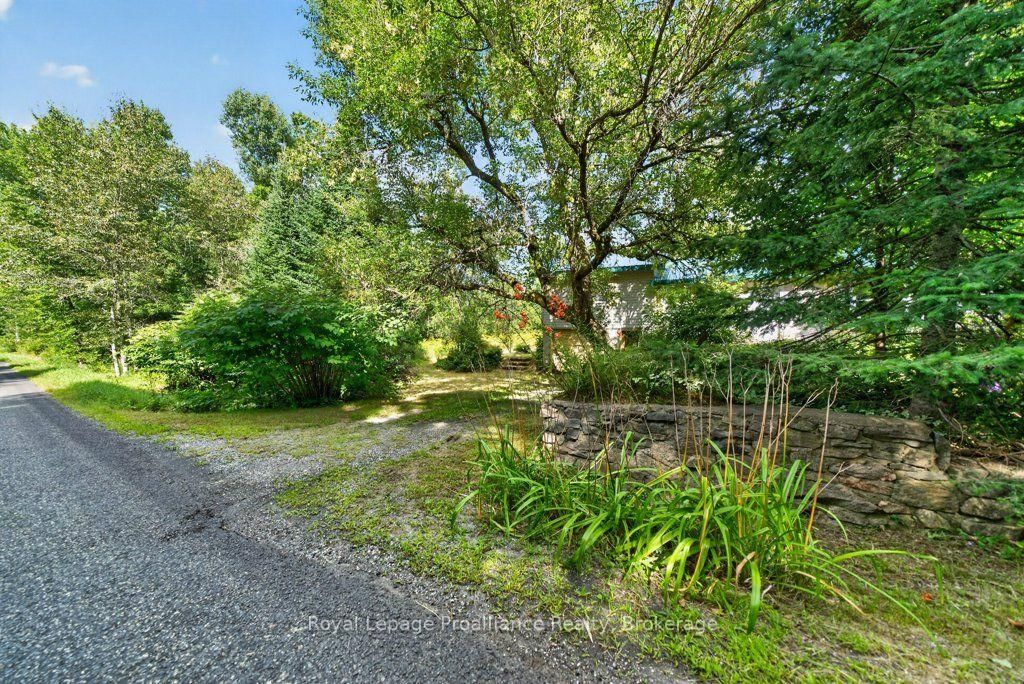 2452 Henderson Road • Barry's Bay, ON photo 39