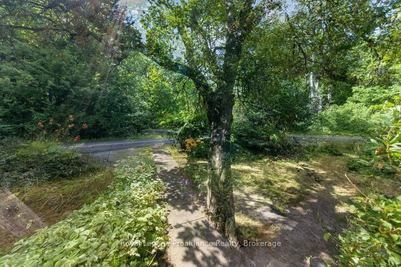 2452 Henderson Rd photo 5